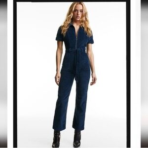 Aritzia Jerry Jumpsuit​